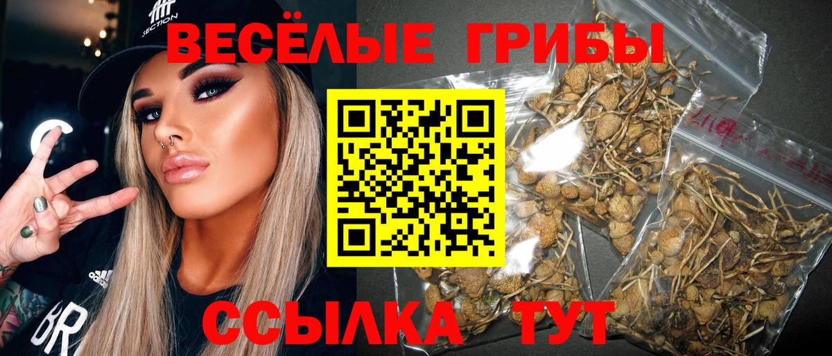 купить наркотики сайты  Псилоцибиновые грибы мицелий  Вход с VPN  Самара 